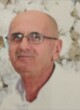 VESELIN BABIĆ